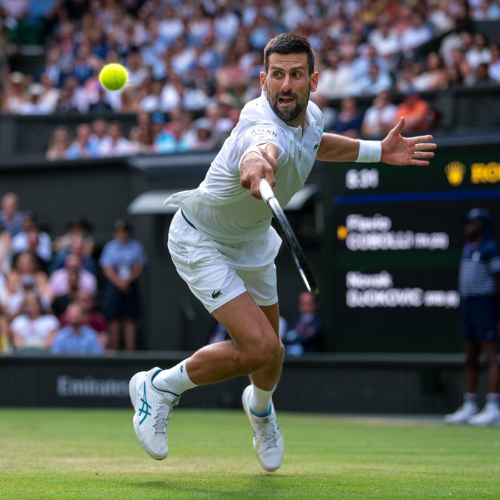 澳网险胜法网，德约科维奇统治全场