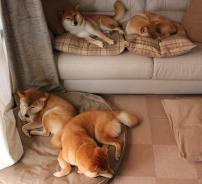 奥亚尔萨瓦尔，美国节奏掌控下的莱比锡红牛关键先生